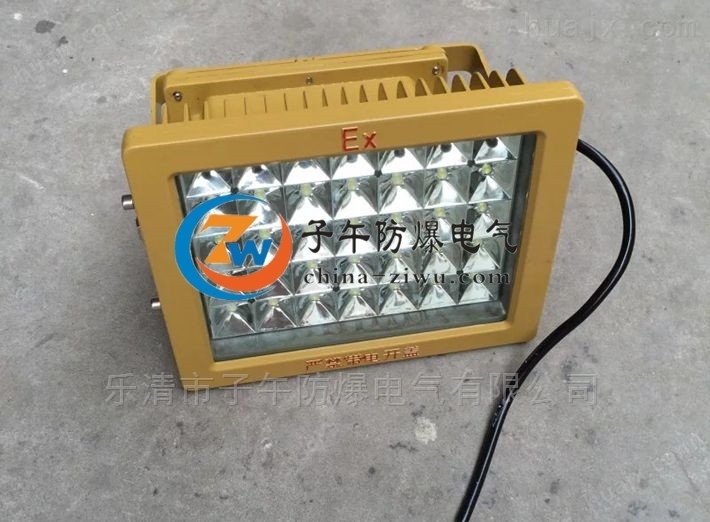 防爆LED固态安全照明灯BAD603-5W10W15W