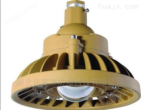 FGV1216-100w油田照明LED防爆节能灯图片