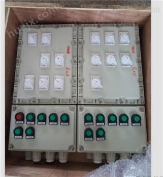 炼油厂防爆照明动力配电箱检修箱