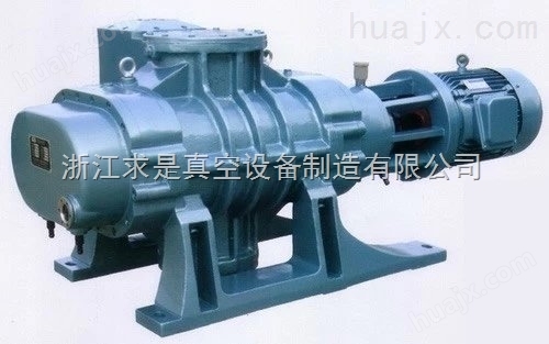 ZJP-1200罗茨真空泵
