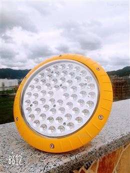 GCD616-36W防爆固态照明LED泛光灯