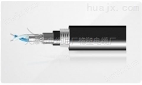 天津电缆橡塑电缆厂HYA市内通信电缆规格