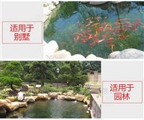 杭州不锈钢潜水泵鱼池水泵水族器材